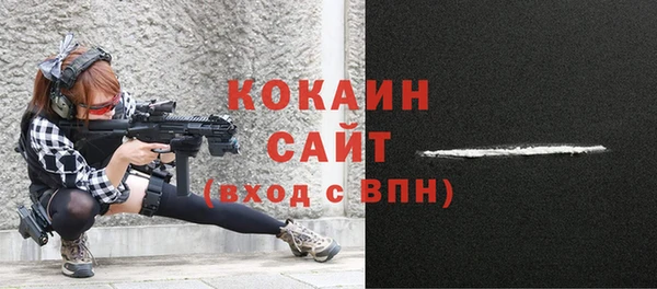 индика Бугульма
