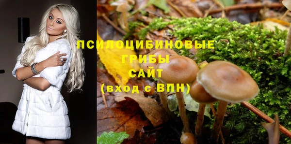 индика Бугульма