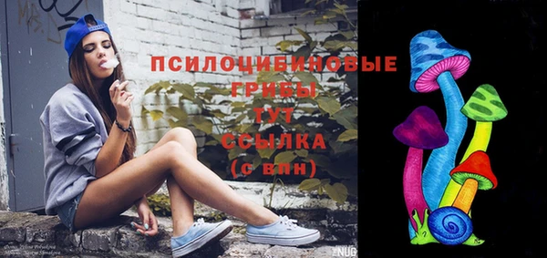 индика Бугульма