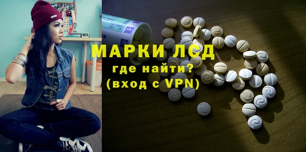 индика Бугульма