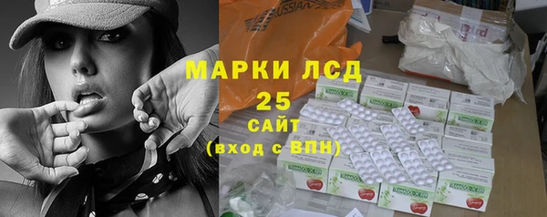 индика Бугульма