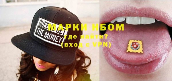 индика Бугульма