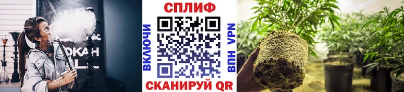 Каннабис Bruce Banner  мега tor  Петушки 